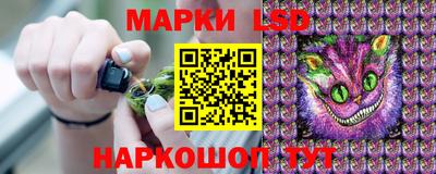 первитин Владимир