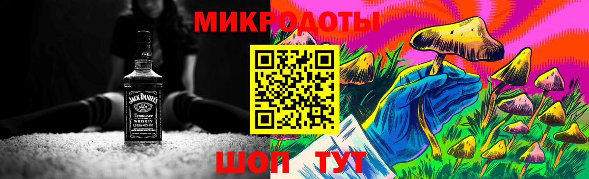 Псилоцибиновые грибы Cubensis Бор